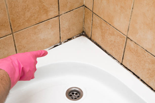 Best Residential Mold Remediation in Gunnison, UT